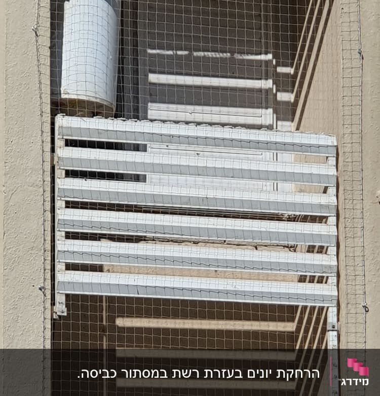 רשת למניעת כניסת יונים על מרפסת